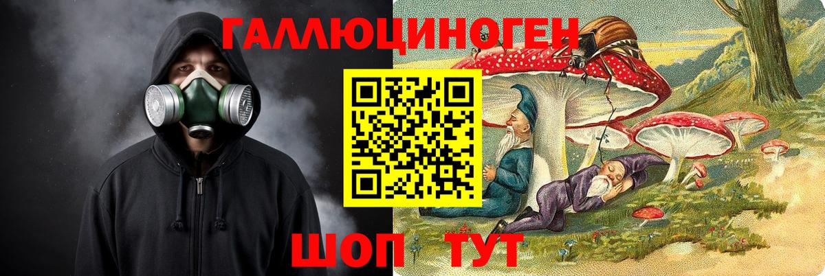 Псилоцибиновые грибы Psilocybine cubensis  Вход с VPN  Краснотурьинск 